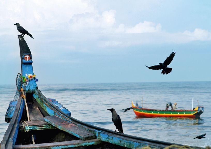 Marari Beach In Kerala