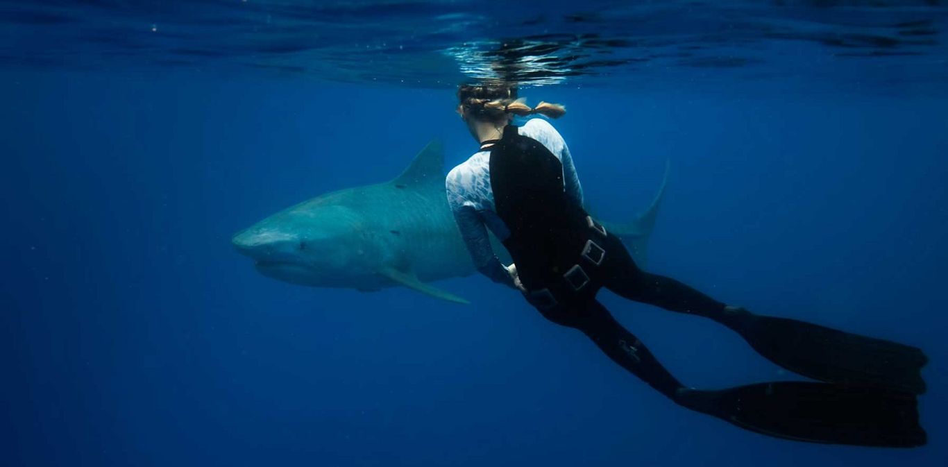 11 Tips To Keep You Safe From Sharks, According To A Shark Safety Diver