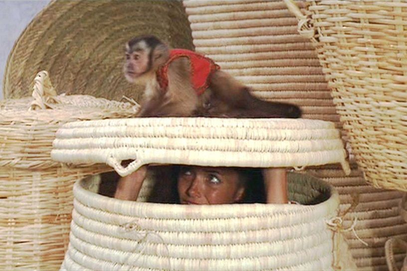Travel movies