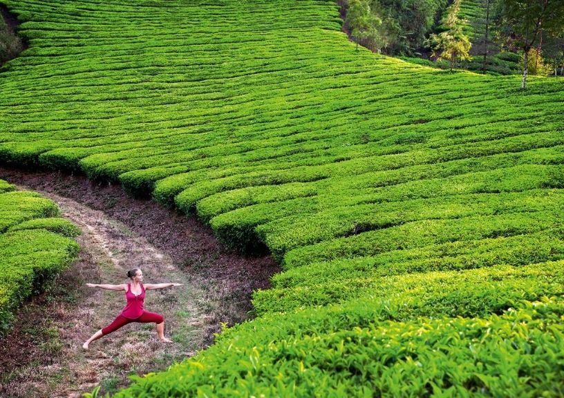 Yoga Retreats In India