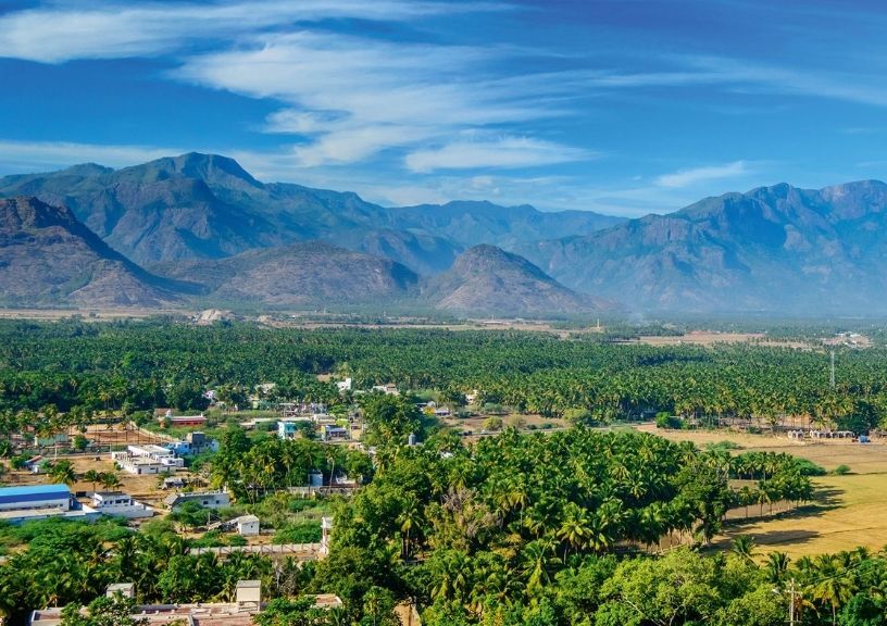 Thandikudi In Tamil Nadu