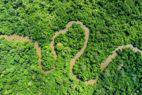 10 Incredible National Parks In Africa — From Vast Deserts To Rain Forests & Mountains