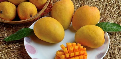 Untold Tales Of Maharashtrian Mangoes--Alphonsos, Kesars, Rajapuris & More