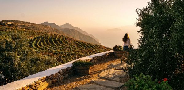 A Wine Tasting Tour Through Greece’s Cyclades Islands