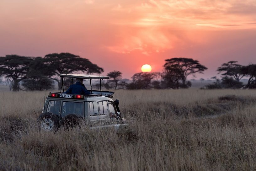 Safari For Kids
