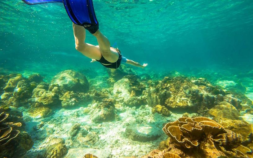 snorkelling