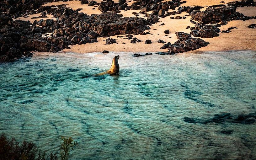 Snorkelling