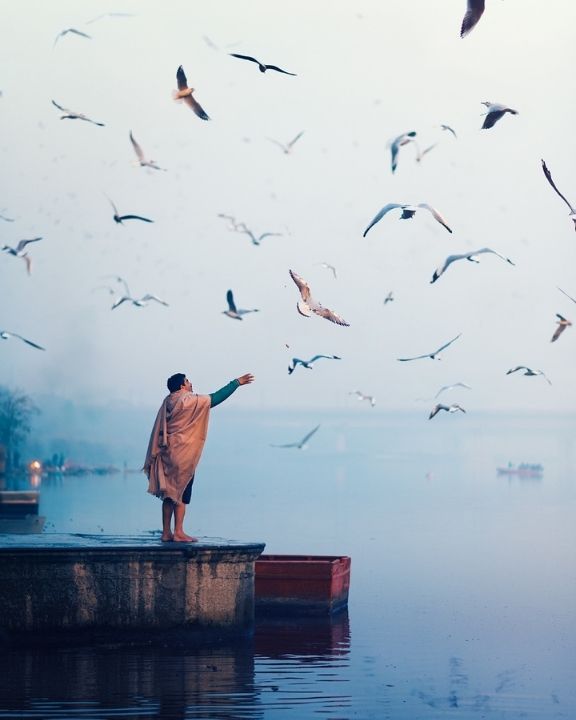 Ashraful Arefin