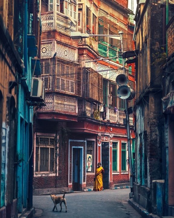 Ashraful Arefin
