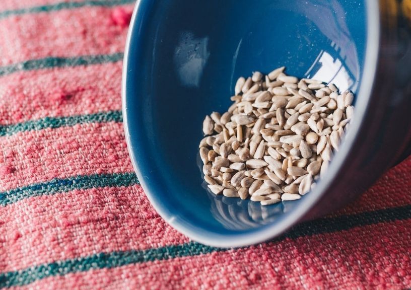 10 ImmunityBoosting Foods To Add To Your Diet. Check Out Now!