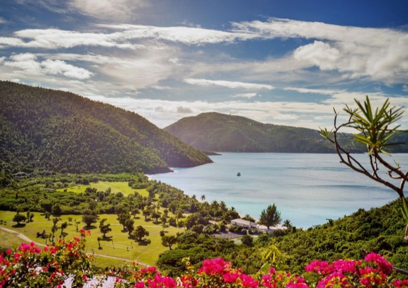 Guana Island