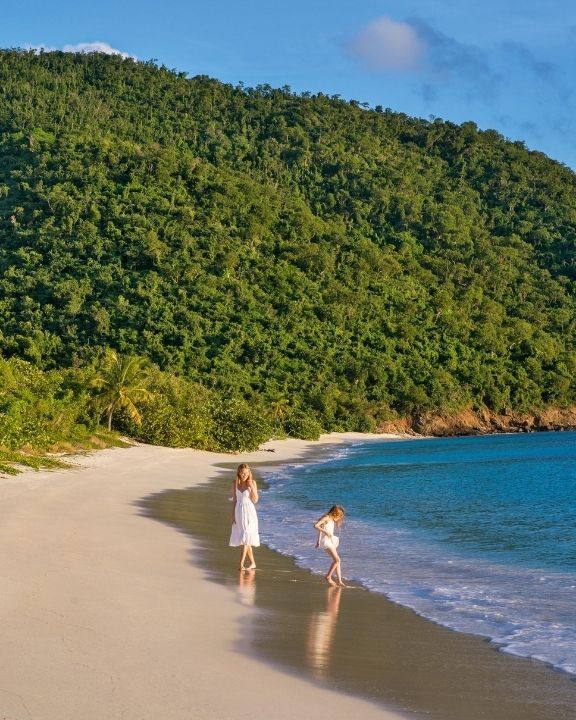 Guana Island