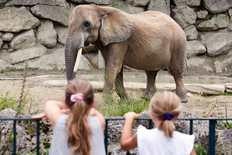 Vienna Zoo