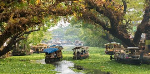 Kerala's Bio-Bubble Tourism Paves The Way For Risk-Free Travel—Here's How