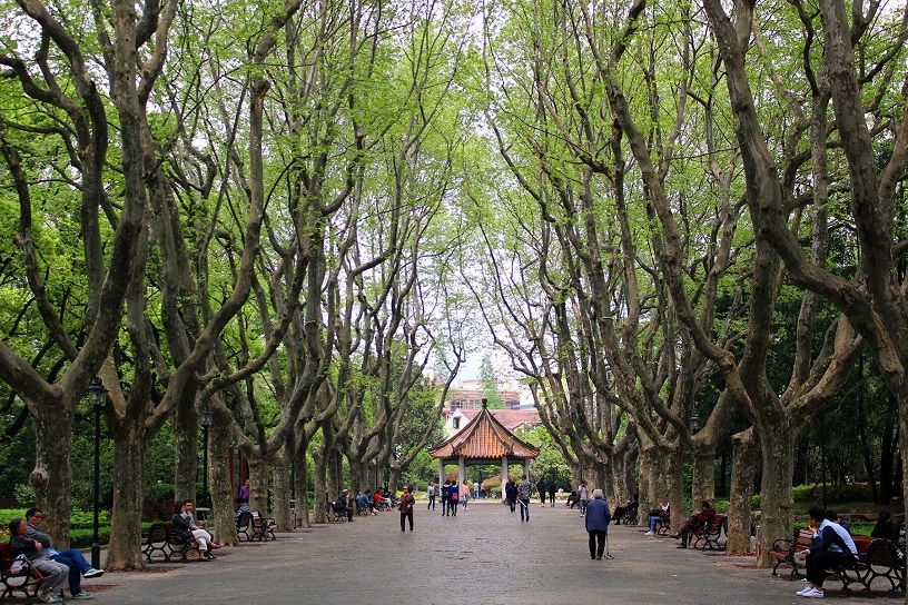 Shanghai