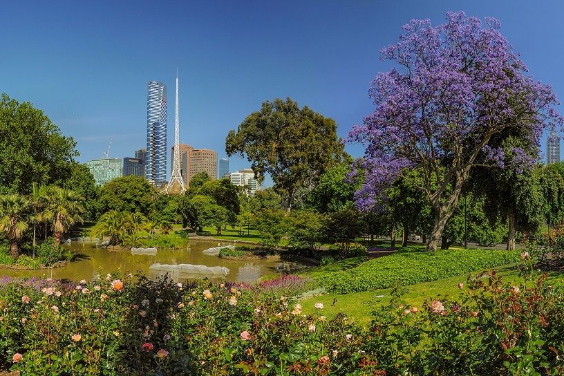 Royal Botanic Gardens