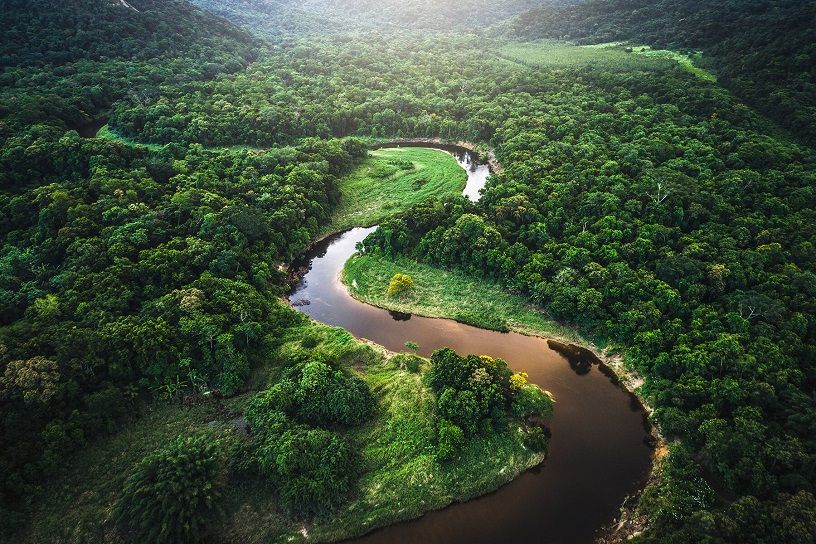Amazon Rainforest, South America