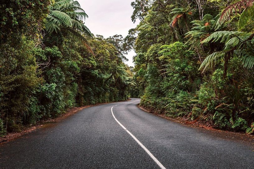 New Zealand