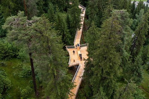 The World's Longest Treetop Walkway Lets You Stroll Almost A Full Mile In A Forest Canopy In Switzerland