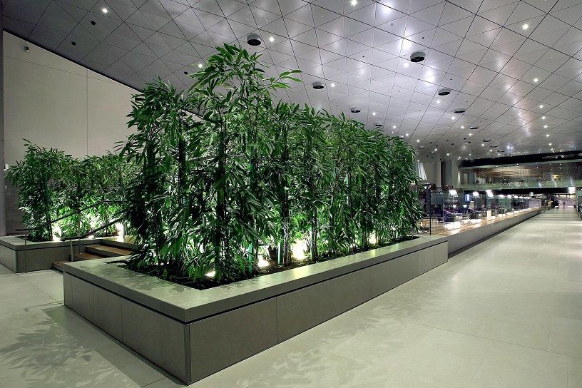 Airport Lounge