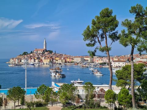 Istria Is Croatia's Hidden Gem — And The Melting Pot Of The Adriatic