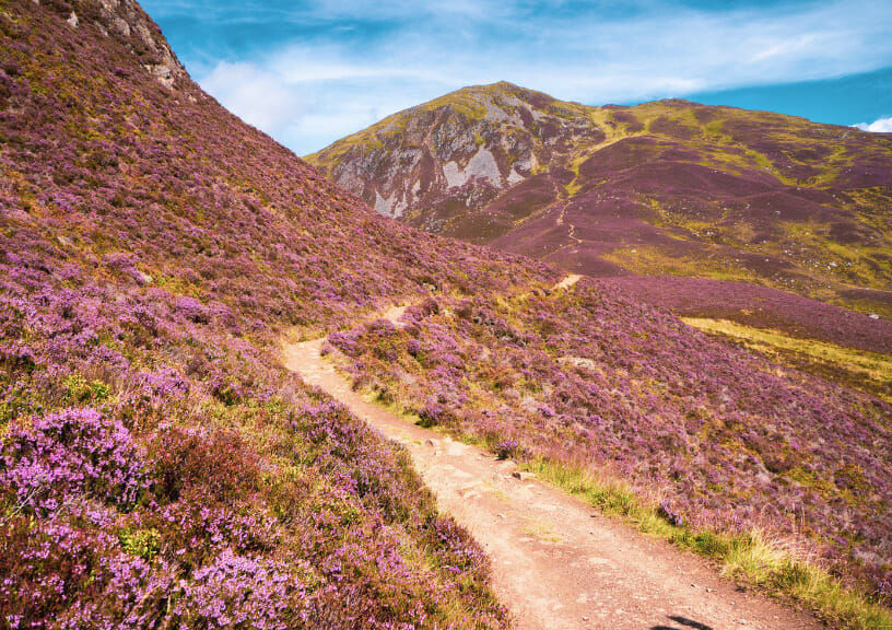 Scotland