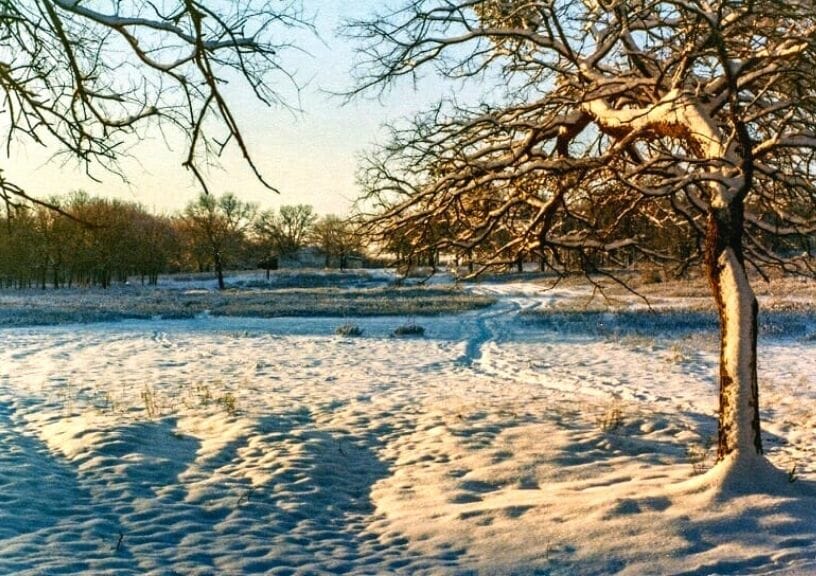 Places To Travel In December