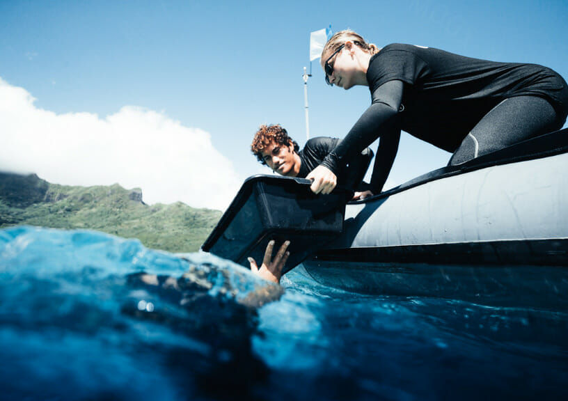 Coral gardeners