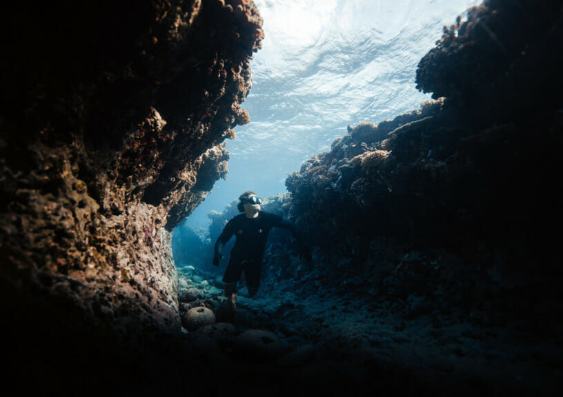 Coral gardeners