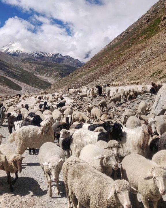 Spiti