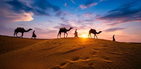 Rajasthan Gears Up To Welcome Tourists In Jaisalmer For Desert Festival 2022
