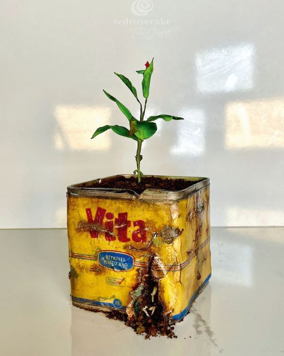 Meet Tuba Geçkil, The Chef Behind The Viral Realistic Cakes