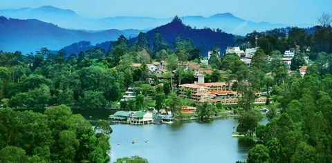 Exploring The Princess Of Hill Stations: Here Are The Best Places To Visit In Kodaikanal
