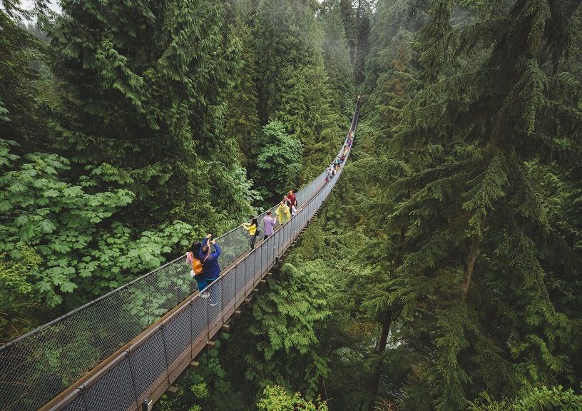 Capilano Suspension Bridge Park