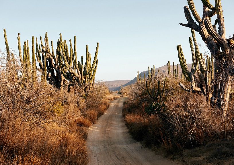 Paradero Todos Santos