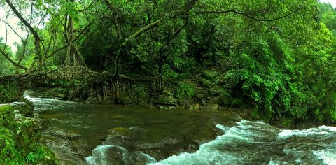 Check Out The Cleanest Destinations In India For Your Next Vacay