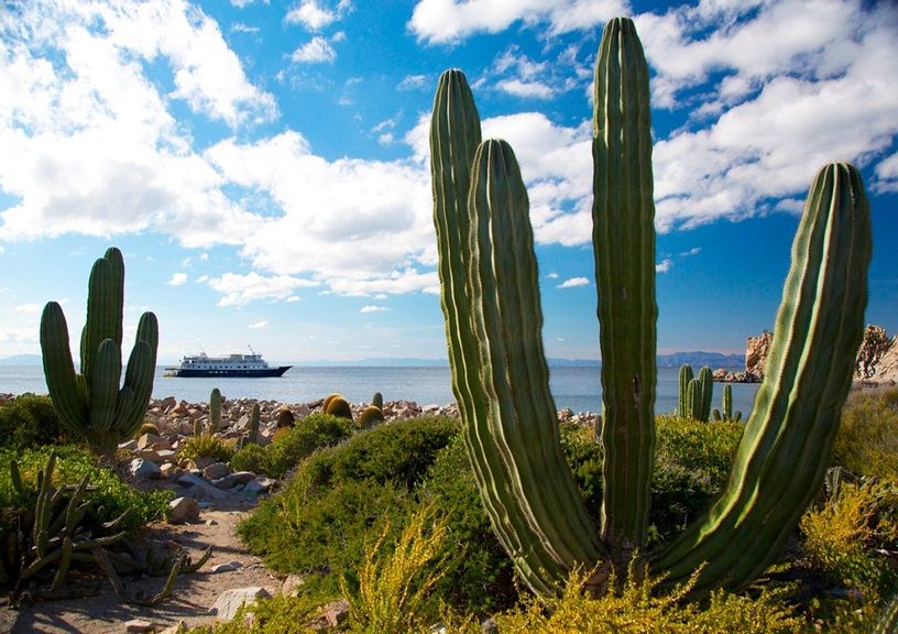 Sunstone Tours and Cruises