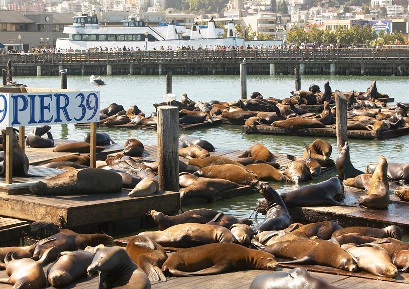 San Francisco