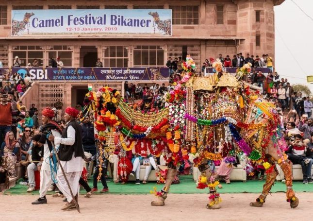 Camel Festival, Bikaner