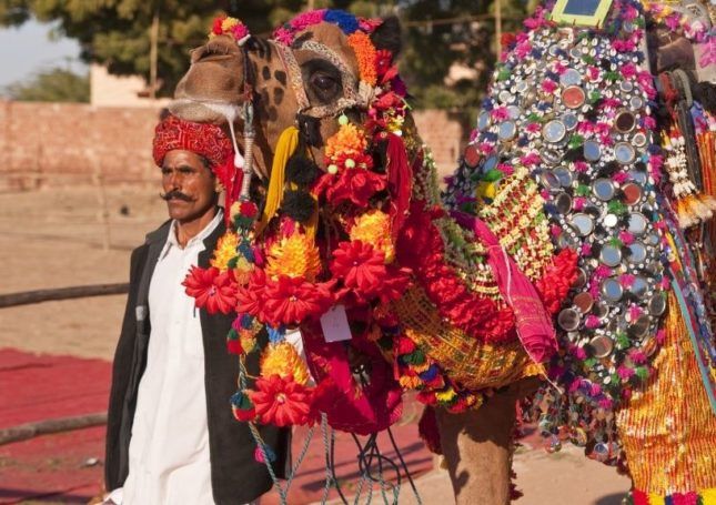 Nagaur Fair, Nagaur