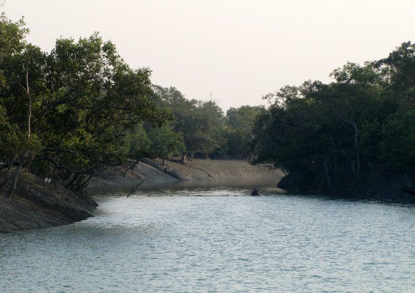 Eco-tourismt spots: Sunderbans