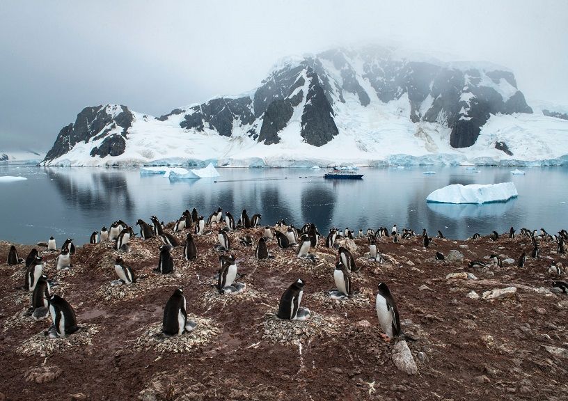 Antarctica