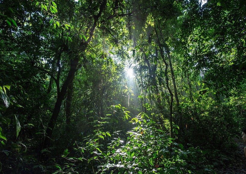 Greenest places on earth