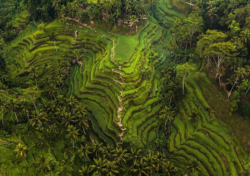 Greenest places on earth