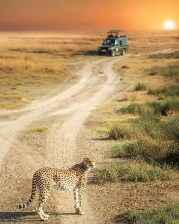 Best Adventure Destination - Kenya