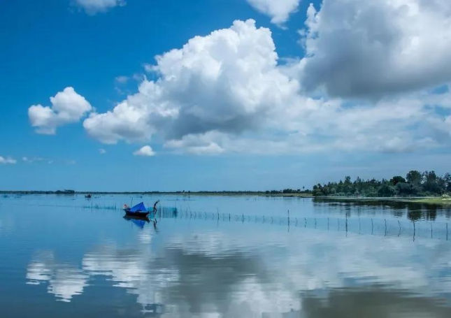 Best State - Odisha