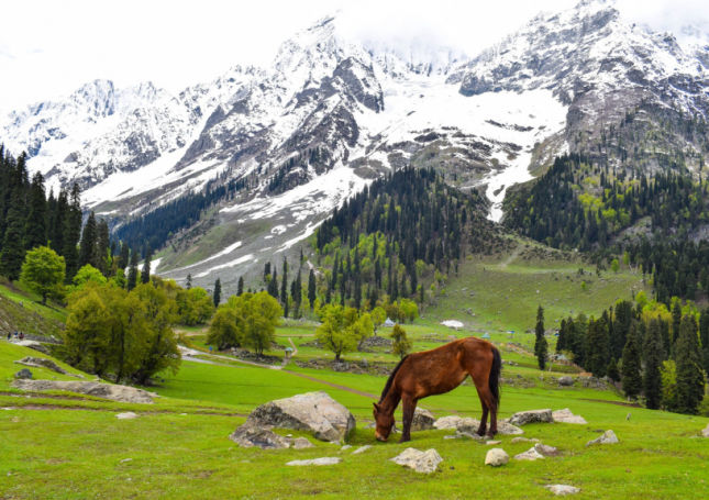 Best Adventure Destination - Jammu and Kashmir