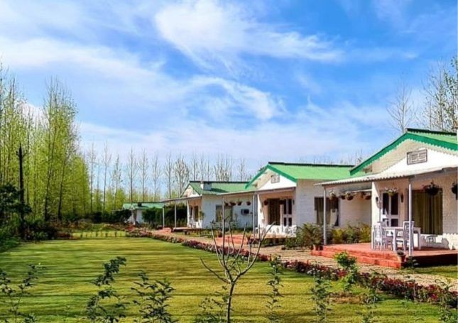 Citrus County, Hoshiarpur