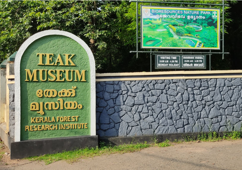 Best road trips in Kerala