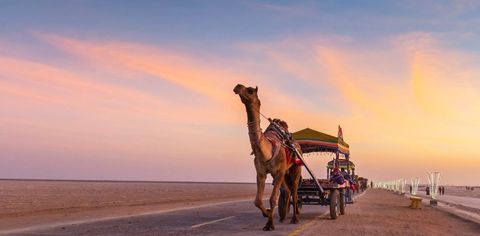 Road Trips From Ahmedabad That Will Have You Cruising Your Way To A Great 2022
